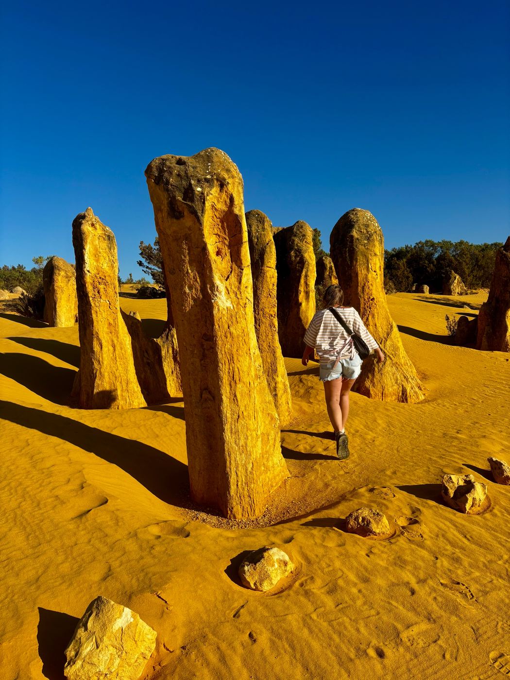 Ainsley walking among limestone pillars in the Australian desert