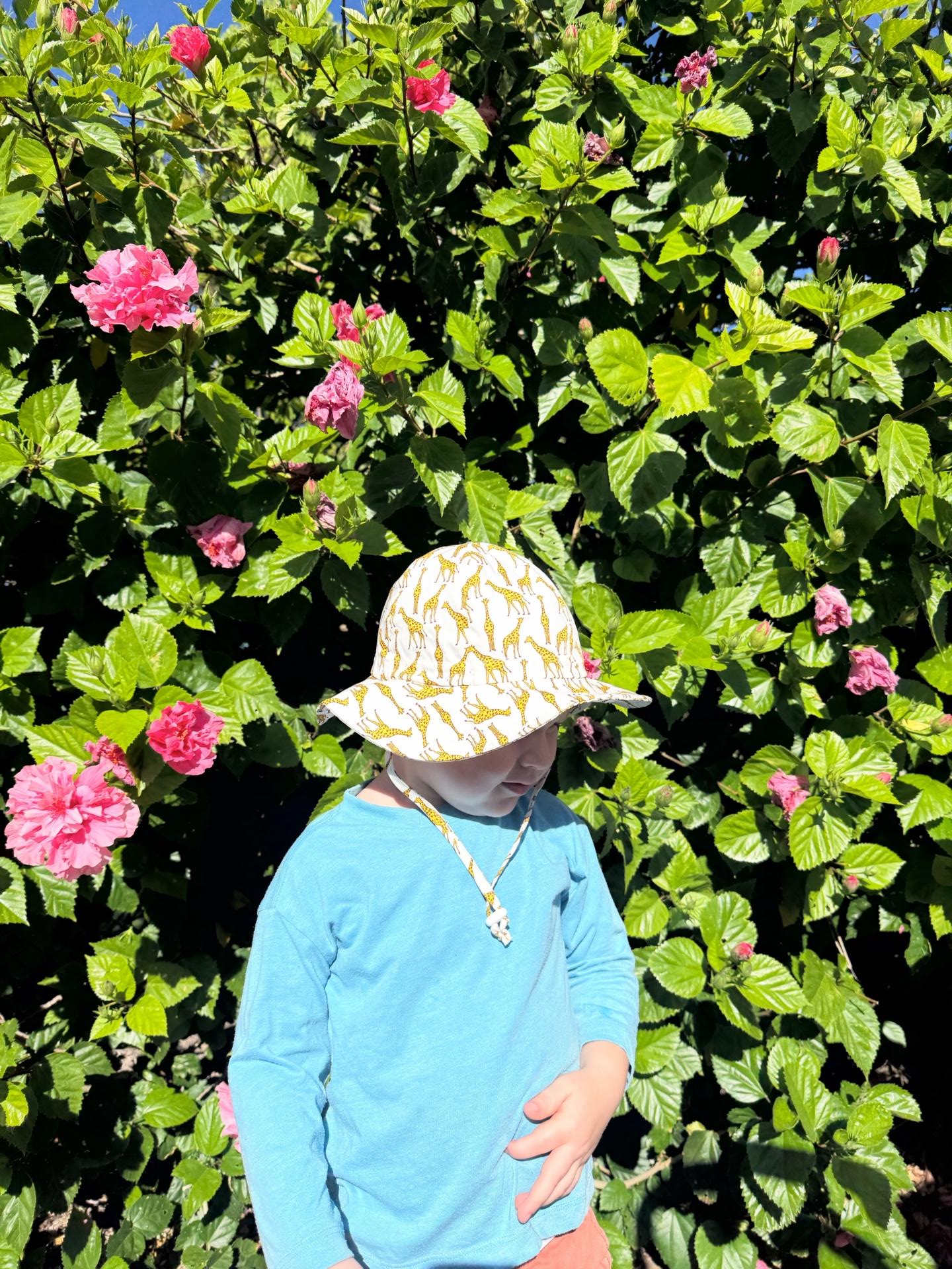 A young child in a giraffe-print sun hat standing before a hibiscus bush in full pink bloom